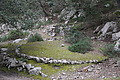 DSC06016 - Bernhard Saalfeld