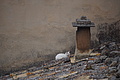 DSC06021 - Bernhard Saalfeld