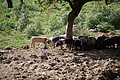 DSC06047 - Bernhard Saalfeld