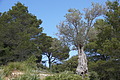 DSC06067 - Bernhard Saalfeld