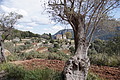 DSC06080 - Bernhard Saalfeld