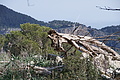 DSC06102 - Bernhard Saalfeld