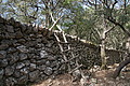 DSC06107 - Bernhard Saalfeld