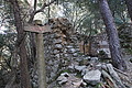 DSC06129 - Bernhard Saalfeld
