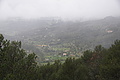 DSC06212 - Bernhard Saalfeld