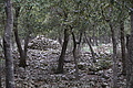 DSC06215 - Bernhard Saalfeld