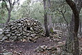 DSC06216 - Bernhard Saalfeld