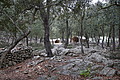 DSC06217 - Bernhard Saalfeld