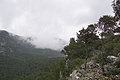 DSC06219 - Bernhard Saalfeld
