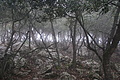 DSC06223 - Bernhard Saalfeld