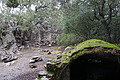 DSC06229 - Bernhard Saalfeld