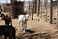 NAMIB0012_DSC06426 - Bernhard Saalfeld