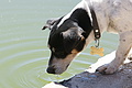 NAMIB0025_DSC01999 - Bernhard Saalfeld