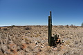 NAMIB0033_DSC06431 - Bernhard Saalfeld