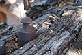 NAMIB0038_DSC06435 - Bernhard Saalfeld