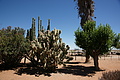 NAMIB0042_DSC06439 - Bernhard Saalfeld