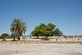 NAMIB0044_DSC06441 - Bernhard Saalfeld