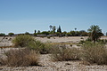 NAMIB0048_DSC06445 - Bernhard Saalfeld