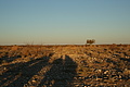 NAMIB0058_DSC06456 - Bernhard Saalfeld