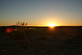 NAMIB0063_DSC06461 - Bernhard Saalfeld