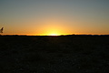 NAMIB0070_DSC06468 - Bernhard Saalfeld