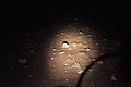 NAMIB0076_DSC06477 - Bernhard Saalfeld