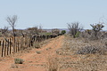 NAMIB0093_DSC02021 - Bernhard Saalfeld