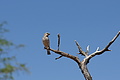 NAMIB0114_DSC02038 - Bernhard Saalfeld