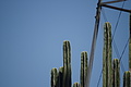 NAMIB0123_DSC02048 - Bernhard Saalfeld