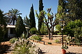 NAMIB0128_DSC06485 - Bernhard Saalfeld