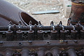 NAMIB0133_DSC06489 - Bernhard Saalfeld
