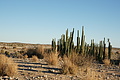 NAMIB0135_DSC06491 - Bernhard Saalfeld