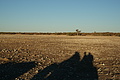 NAMIB0138_DSC06494 - Bernhard Saalfeld