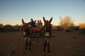 NAMIB0141_DSC06497 - Bernhard Saalfeld
