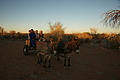 NAMIB0142_DSC06498 - Bernhard Saalfeld