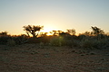 NAMIB0145_DSC06501 - Bernhard Saalfeld