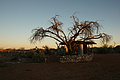 NAMIB0146_DSC06502 - Bernhard Saalfeld