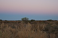 NAMIB0150_DSC06510 - Bernhard Saalfeld
