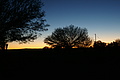 NAMIB0160_DSC06521 - Bernhard Saalfeld