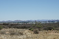 NAMIB0162_DSC02056 - Bernhard Saalfeld