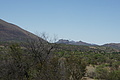 NAMIB0164_DSC02058 - Bernhard Saalfeld