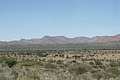 NAMIB0167_DSC02063 - Bernhard Saalfeld