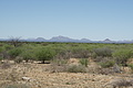 NAMIB0171_DSC02067 - Bernhard Saalfeld