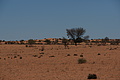 NAMIB0185_DSC06523 - Bernhard Saalfeld