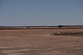 NAMIB0199_DSC06535 - Bernhard Saalfeld