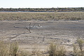 NAMIB0204_DSC02085 - Bernhard Saalfeld