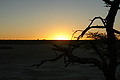 NAMIB0213_DSC02092 - Bernhard Saalfeld
