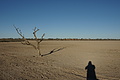 NAMIB0233_DSC02114 - Bernhard Saalfeld