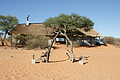 NAMIB0253_DSC02134 - Bernhard Saalfeld
