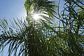 NAMIB0268_DSC02146 - Bernhard Saalfeld